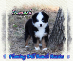 Image preview for Ad Listing. Nickname: Damask