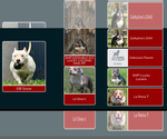Small #18 American Bully