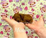 Image preview for Ad Listing. Nickname: Monique