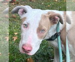 Small #2 Breeder Profile image