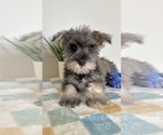 Image preview for Ad Listing. Nickname: Scout