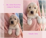Image preview for Ad Listing. Nickname: Kona