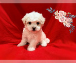 Image preview for Ad Listing. Nickname: TOM