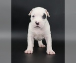 Image preview for Ad Listing. Nickname: Helen