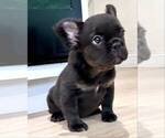 Image preview for Ad Listing. Nickname: Tiny