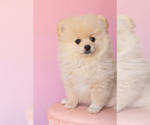 Image preview for Ad Listing. Nickname: Eva
