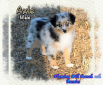 Image preview for Ad Listing. Nickname: Axle