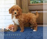 Image preview for Ad Listing. Nickname: Steve