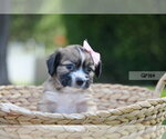 Small #2 Mutt