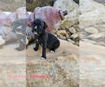 Image preview for Ad Listing. Nickname: Female 2