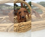 Image preview for Ad Listing. Nickname: Rock