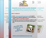 Small Photo #1  Puppy For Sale in , 