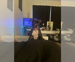 Small #1 Breeder Profile image