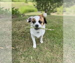 Small #3 Jack Chi