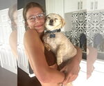 Small #2 Poodle (Miniature) Mix