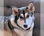 Small #1 Breeder Profile image