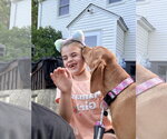 Small #2 Mutt