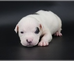 Image preview for Ad Listing. Nickname: Helen