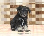 Image preview for Ad Listing. Nickname: Tony