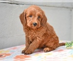 Image preview for Ad Listing. Nickname: Missy