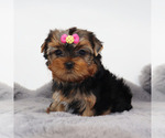 Image preview for Ad Listing. Nickname: Potato