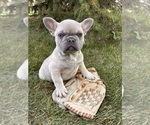 Image preview for Ad Listing. Nickname: Jaxon