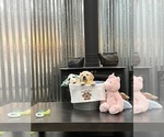 Small Photo #41 Golden Retriever Puppy For Sale in BIG CABIN, OK, USA