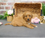 Image preview for Ad Listing. Nickname: Penny