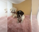 Image preview for Ad Listing. Nickname: Tia
