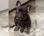 Image preview for Ad Listing. Nickname: Reese