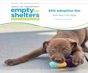 Mutt Dogs for adoption in Santa Cruz, CA, USA