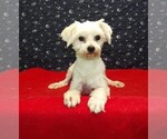 Image preview for Ad Listing. Nickname: Ceal