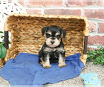 Image preview for Ad Listing. Nickname: LJ