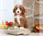 Image preview for Ad Listing. Nickname: Donita