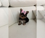 Image preview for Ad Listing. Nickname: Mia
