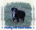 Image preview for Ad Listing. Nickname: Voss