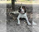 Small #10 Mutt