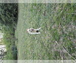 Small #8 - Mix