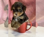 Image preview for Ad Listing. Nickname: Macy