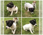 Image preview for Ad Listing. Nickname: Female 1
