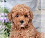 Image preview for Ad Listing. Nickname: Anya