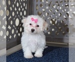 Image preview for Ad Listing. Nickname: Darla