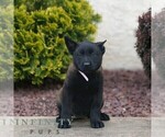 Image preview for Ad Listing. Nickname: Daria