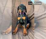 Image preview for Ad Listing. Nickname: Zoe