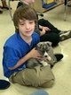 Small Photo #18 Pomsky Puppy For Sale in MIDDLETOWN, OH, USA