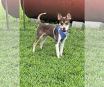 Small #4 Jack Chi