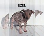 Image preview for Ad Listing. Nickname: Ezel