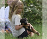 Small #1 Mutt