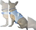 Small #1 Chi-Corgi