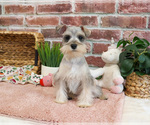 Image preview for Ad Listing. Nickname: Sandy